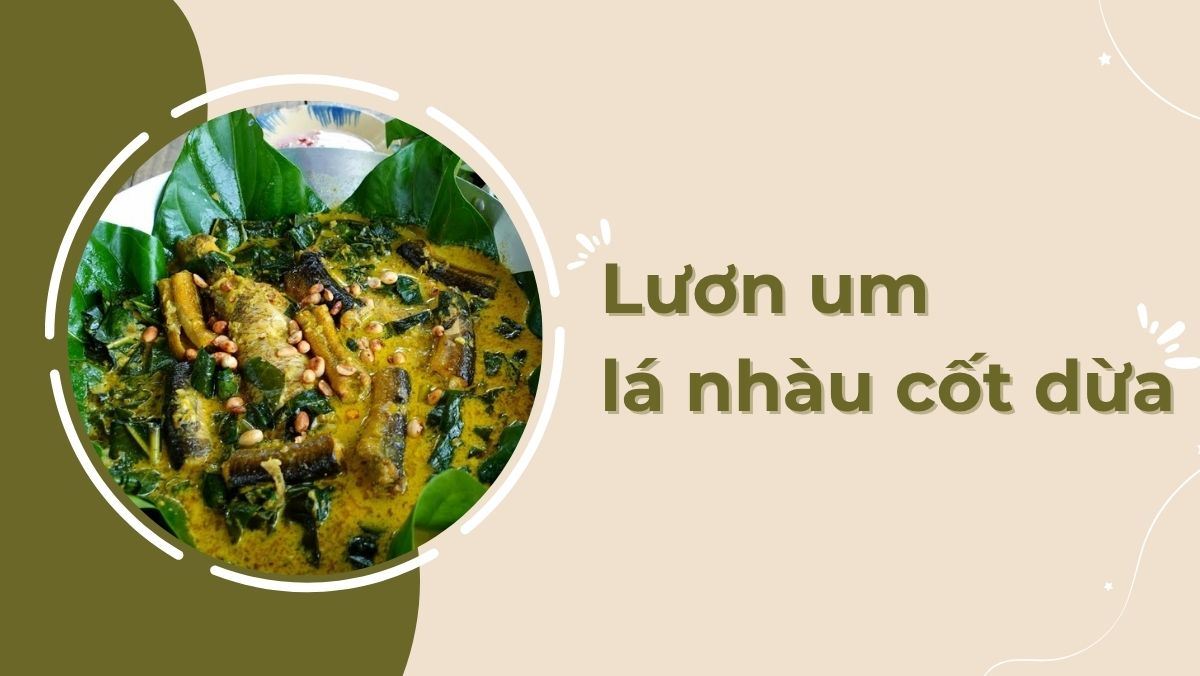 Lươn um lá nhàu