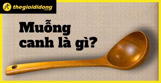 Muỗng canh là gì? 1 muỗng canh bằng bao nhiêu gam, ml?