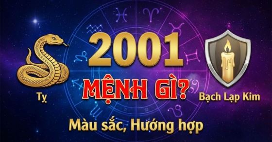 Nam, nữ tuổi Tân Tỵ 2001 mệnh gì, hợp màu gì?