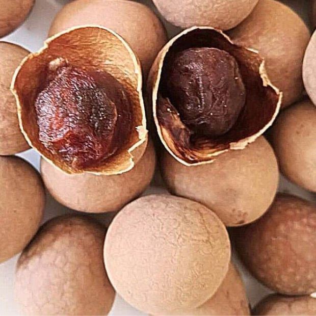 Cách làm nhãn sấy khô nguyên vỏ dẻo ngọt bằng nồi chiên không dầu