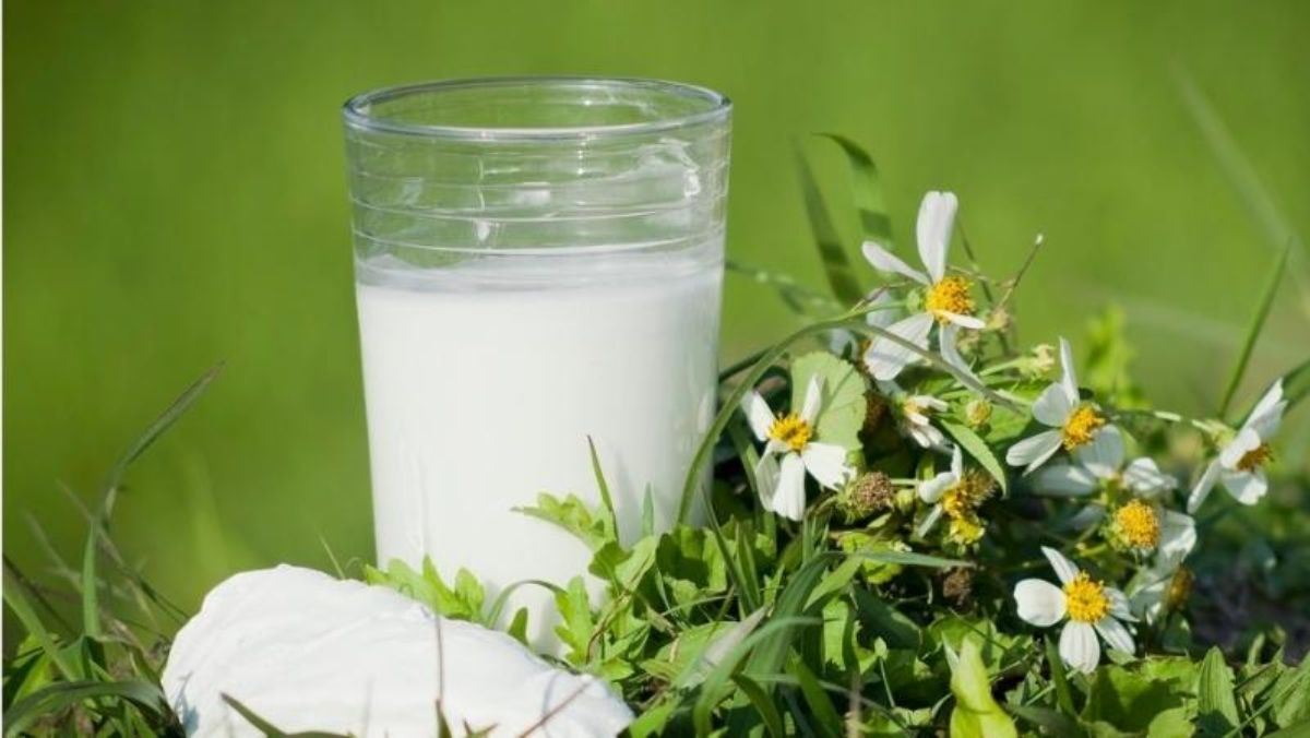 Nước bột sắn dây