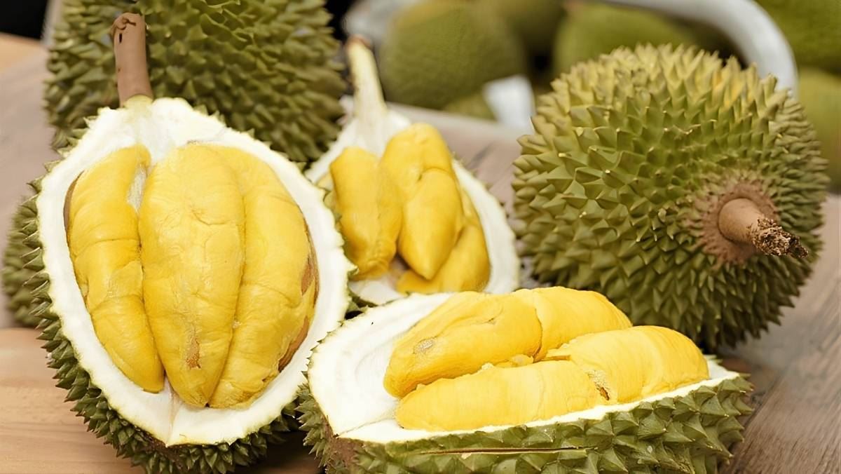 Vận Chuyển Sầu Riêng Từ Đắk Lắk Đi Hà Nội Nhanh Chóng Bằng Đường Hàng Không