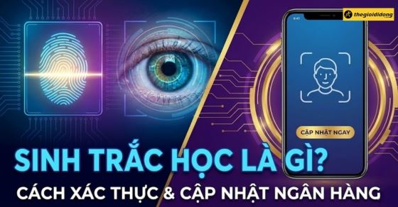 Sinh trắc học là gì? Cách xác thực, cập nhật sinh trắc học ngân hàng 