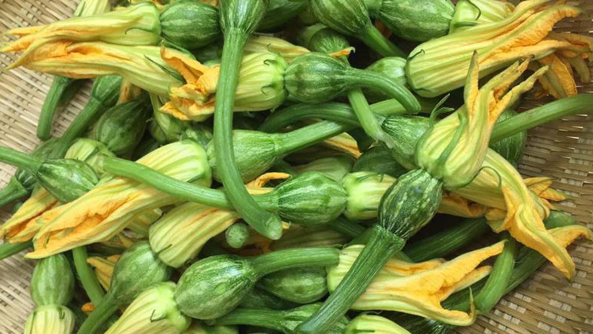 Sơ chế bông bí nụ