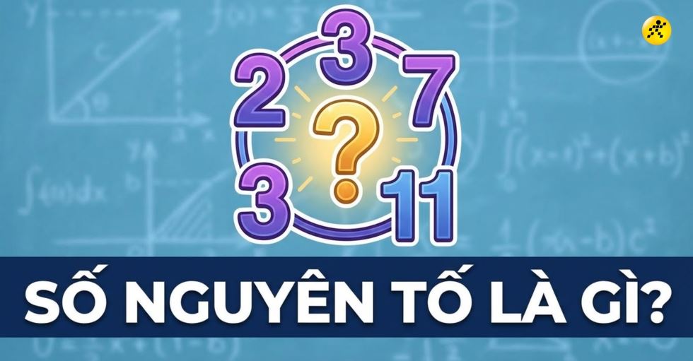 Số nguyên tố là gì? Bảng số nguyên tố, ví dụ minh hoạ, cách tìm