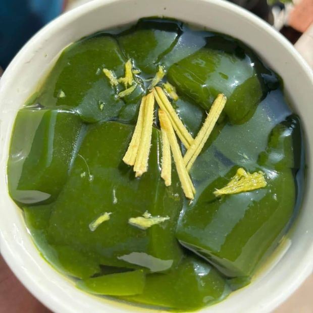 Cách làm sương sâm bằng nang mực với hộp đựng thực phẩm