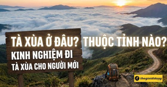 Tà Xùa ở đâu? Thuộc tỉnh nào? Kinh nghiệm đi Tà Xùa cho người mới