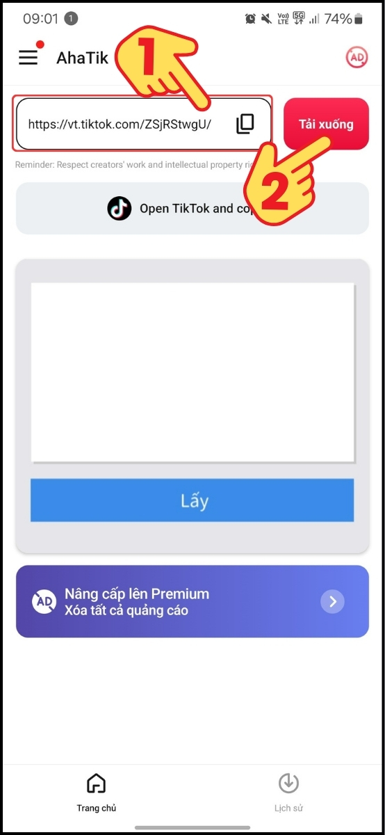 Nhập link Tiktok và chọn Tải xuống