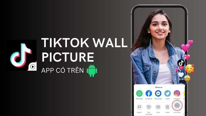 TikTok Wall Picture