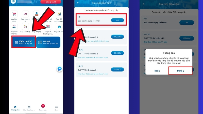 Chọn Kiếm tra CIC - Kiểm tra nợ xấu