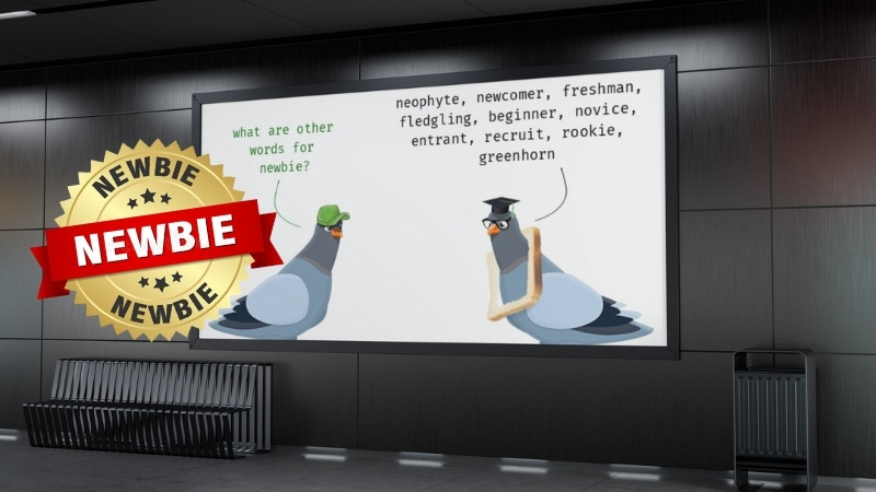 Newbie, noob, n00b nghĩa l&agrave; g&igrave;?