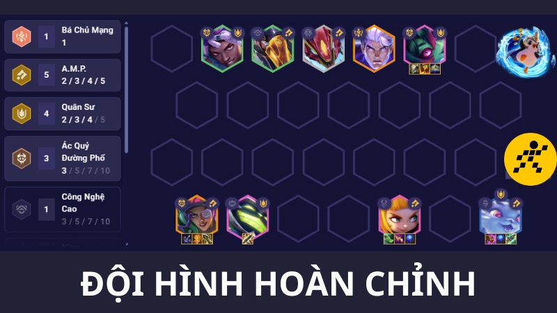 Đội hình AMP