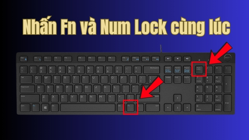Ấn Fn + Numlock c&ugrave;ng l&uacute;c