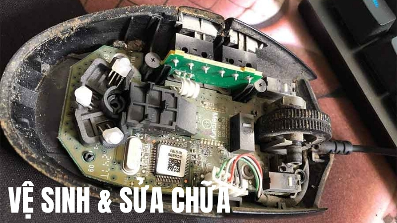 Đem chuột đến trung t&acirc;m bảo h&agrave;nh hoặc sửa chữa