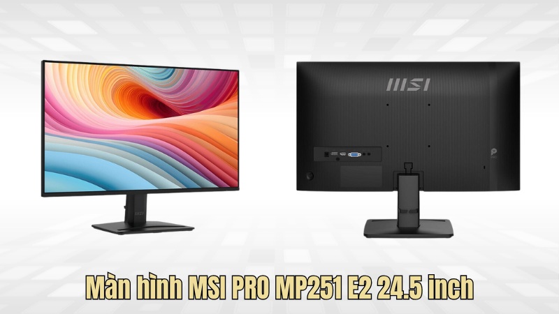 MSI PRO MP251 E2 24.5 inch