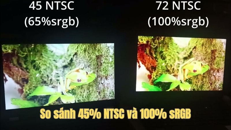 Màn hình đạt 100% sRGB sẽ đẹp hơn Màn hình đạt 100% sRGB sẽ đẹp hơn