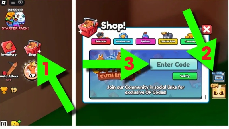 C&aacute;ch nhập code Capybara Evolution 