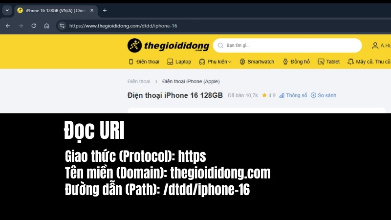 Cấu Tr&uacute;c Của Một URL
