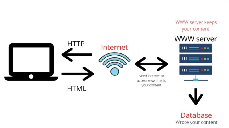 Hiểu nhanh, đơn giản về WWW