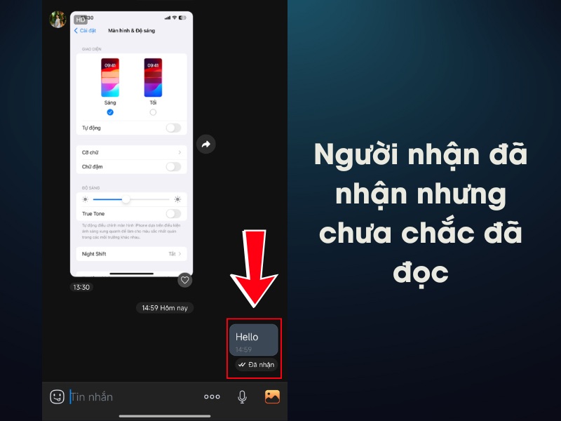 Đ&atilde; nhận (tin nhắn đ&atilde; được gửi đến thiết bị người nhận)
