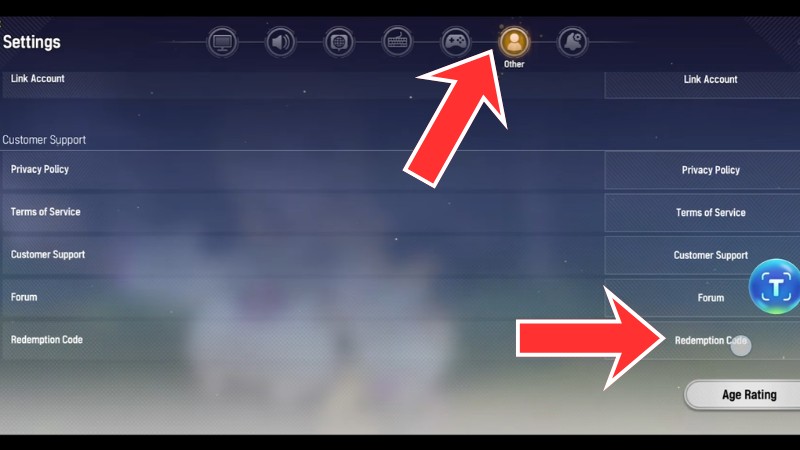 Chọn vào tab Other và kéo xuống phần Redemption Codes