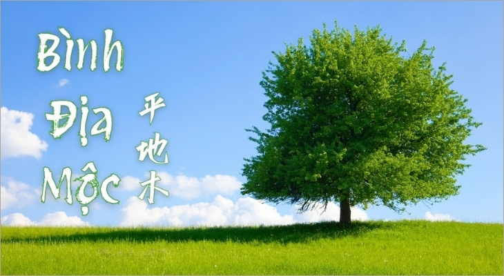 Người sinh năm 2019 thuộc mệnh Mộc, cụ thể là nạp âm Bình Địa Mộc (nghĩa là Gỗ đồng bằng)