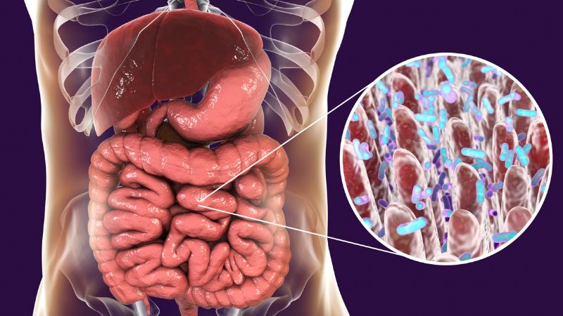 Bột ngọt làm thay đổi hệ vi khuẩn đường ruột