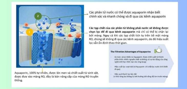 Nguyên lý hoạt động của công nghệ Aquaporin Inside trên máy lọc nước