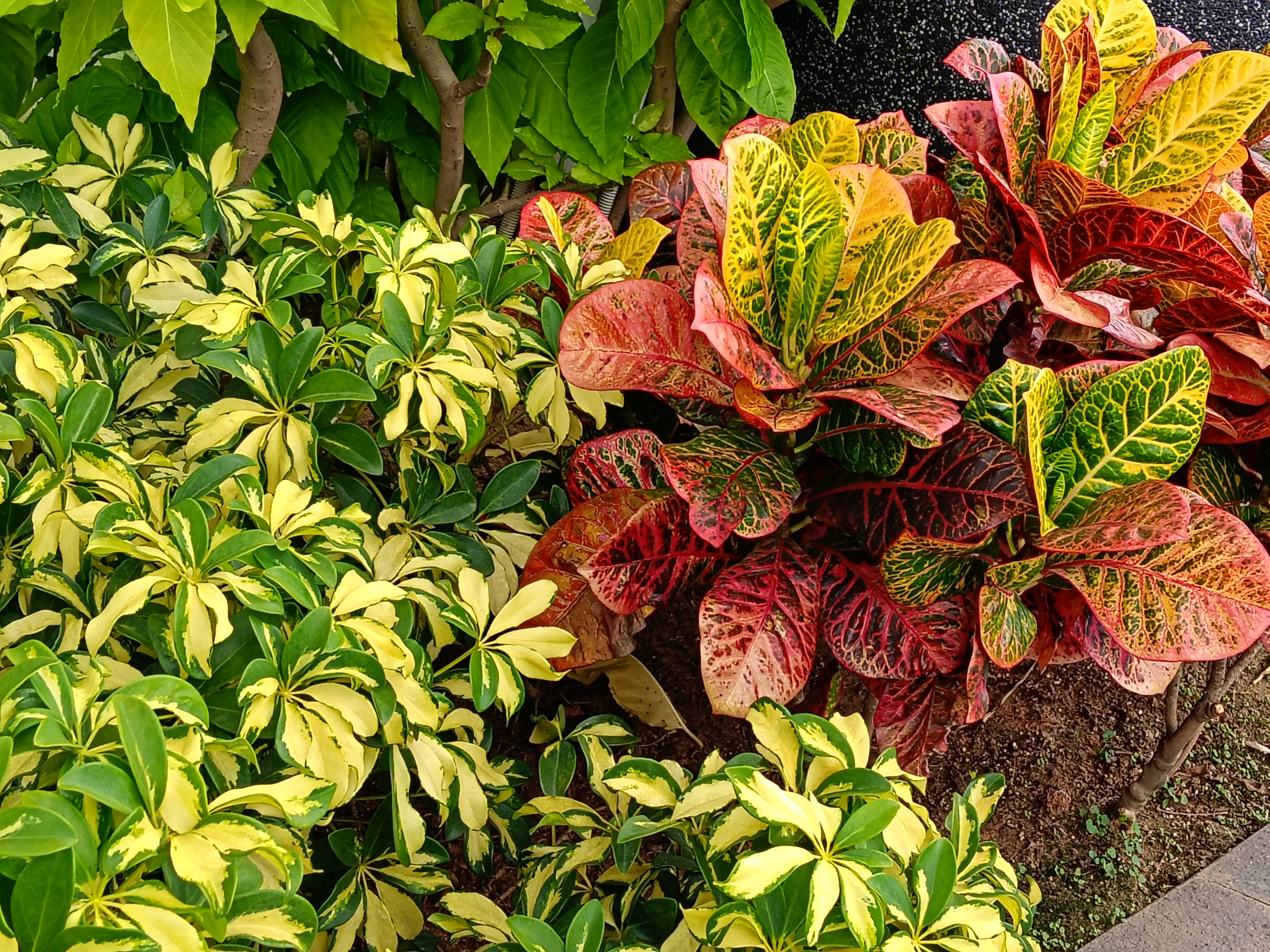 Trên Tay Realme C85 5G: Thiết Kế Mặt Lưng Đẹp Mắt, Viên Pin 7.000 Mah Và Sạc Nhanh 45 W