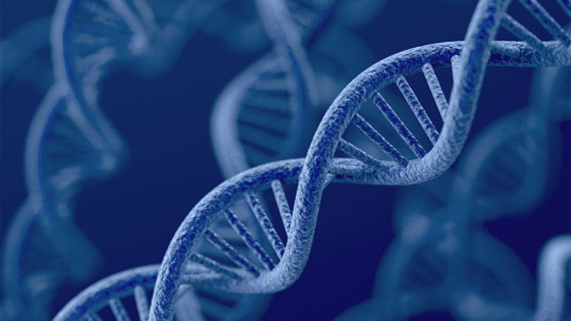 Alzheimer ở người trẻ có thể liên quan đến các gen gây bệnh Alzheimer ở người trẻ có thể liên quan đến các gen gây bệnh