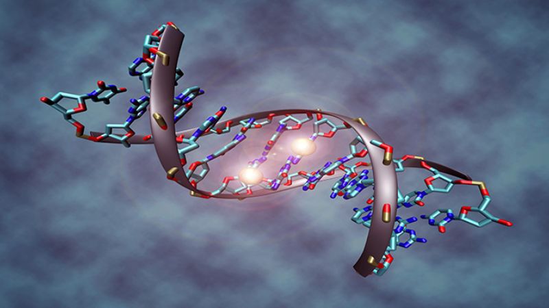 Axit nucleic là phân tử mang thông tin di truyền của tế bào