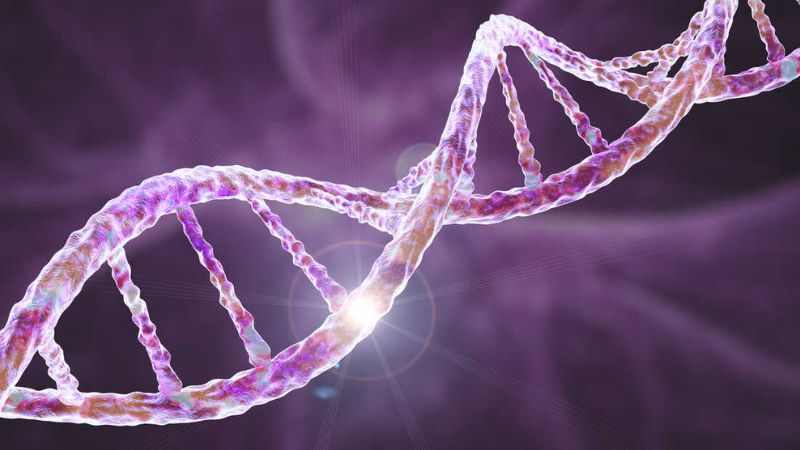 Việc bổ sung axit nucleic cho cơ thể cần có sự điều chỉnh hợp lý để tối ưu lợi ích