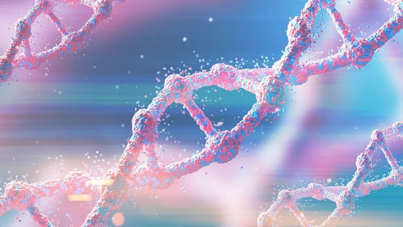 Khi bị bệnh hoặc chấn thương, cơ thể cần nhiều axit nucleic để tái tạo tế bào và tăng cường miễn dịch