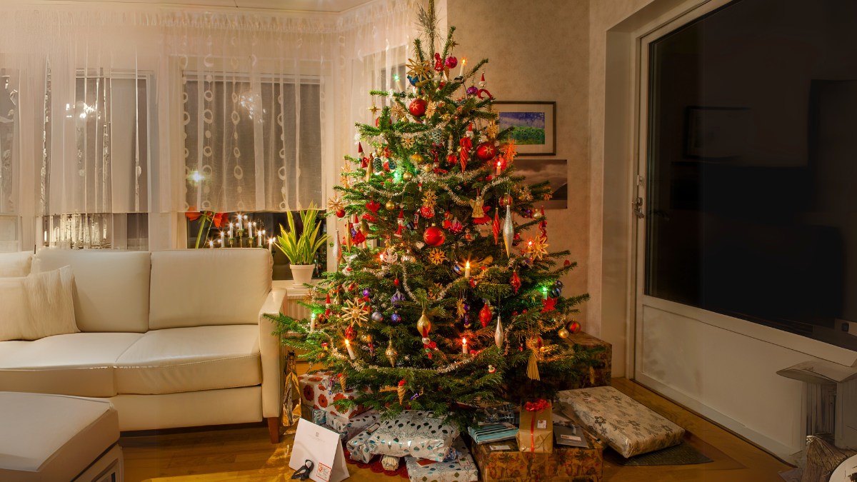 Background Noel cây thông