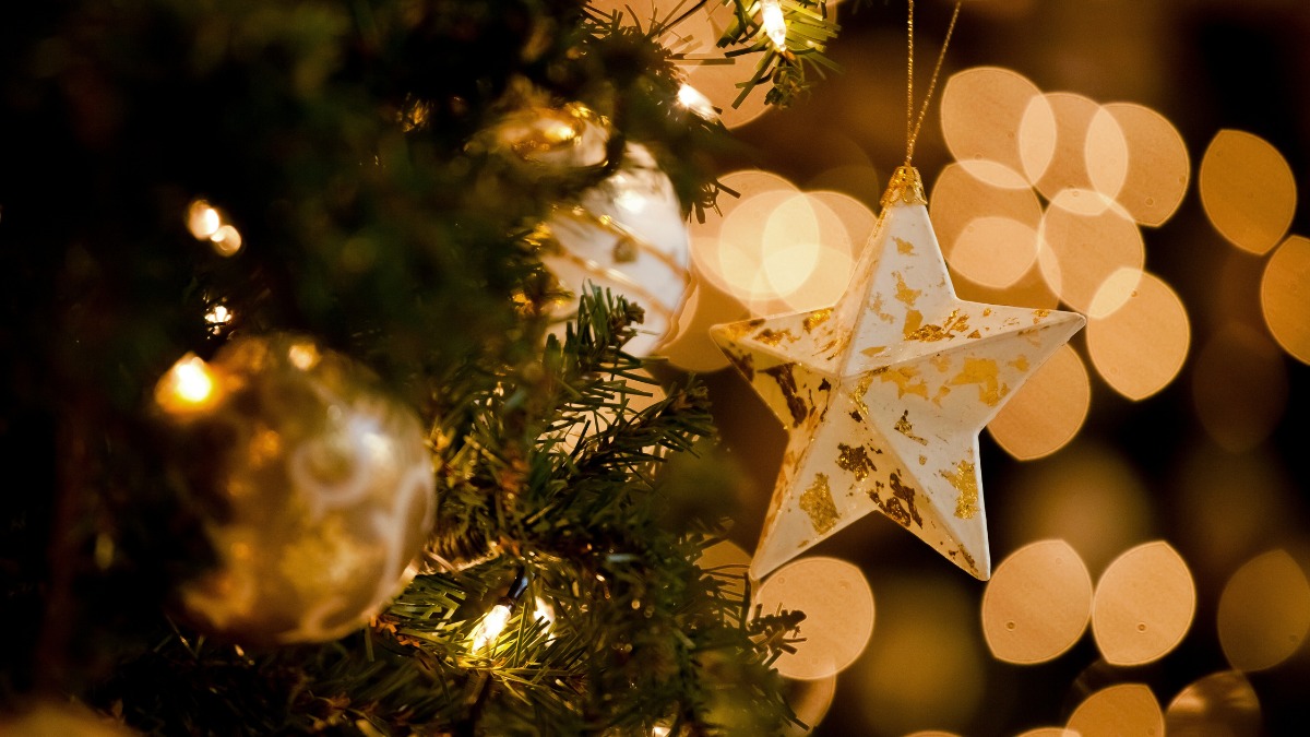 Background Noel cây thông