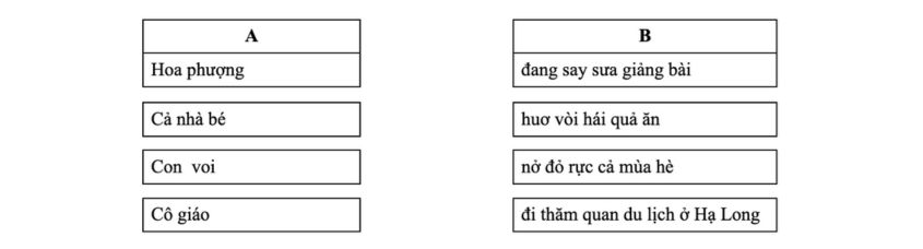 Hình minh hoạ câu 4