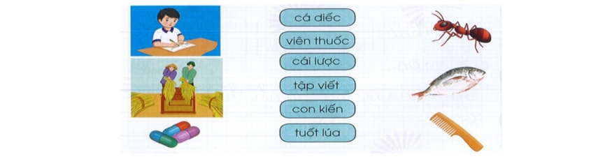 Hình minh hoạ câu 7