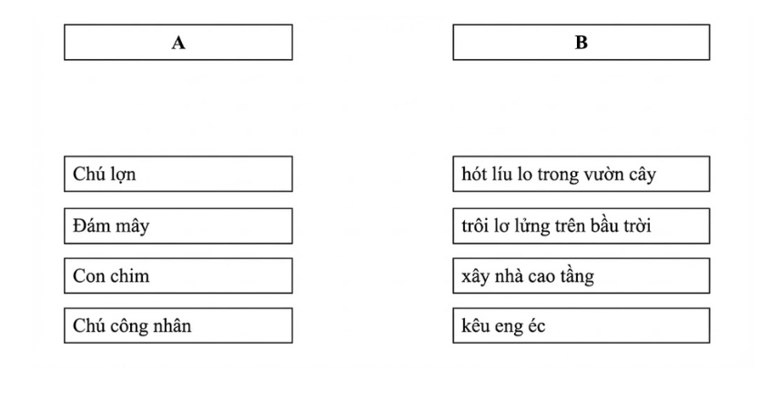Hình minh hoạ câu 8