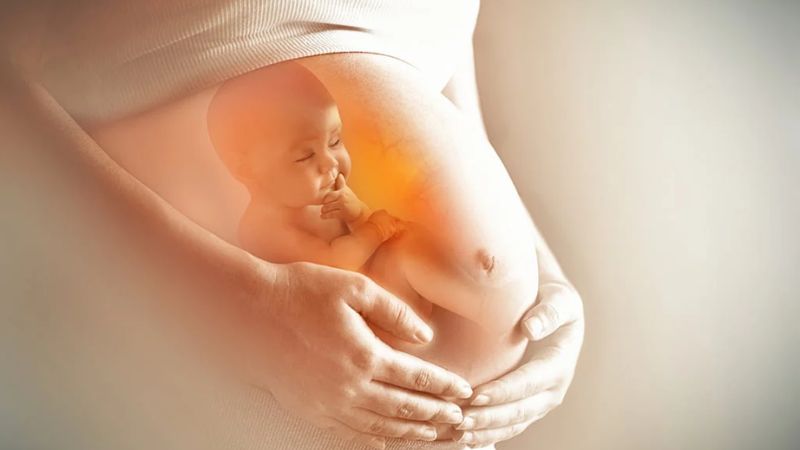 BMR trong quá trình mang thai tăng lên do cần nhiều năng lượng hơn để nuôi dưỡng thai nhi