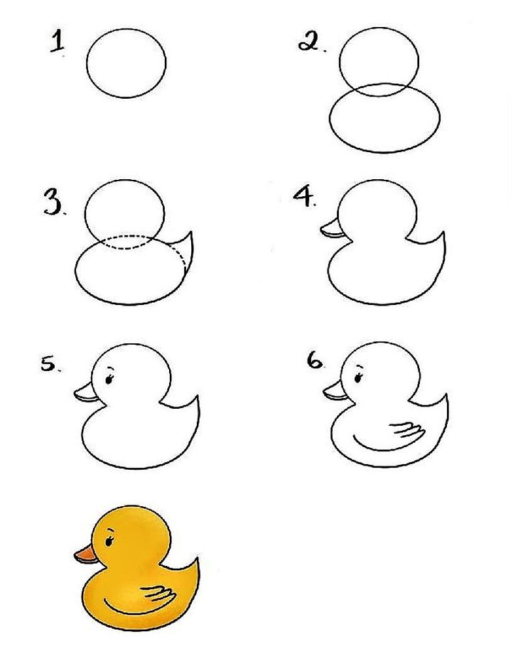 Cách vẽ con vịt đơn giản