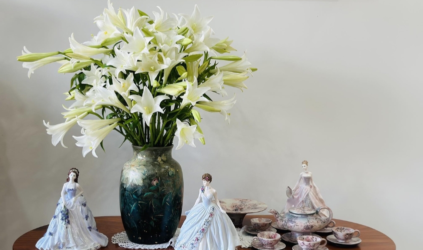 Hoa loa kèn còn có tên gọi khác là hoa lily