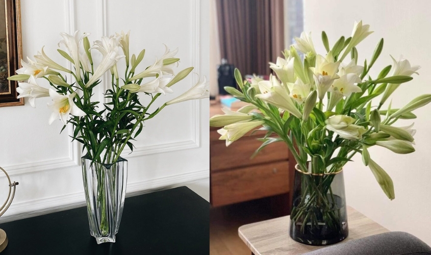 Bình cao cổ với những cành hoa loa kèn trắng được cắm tỏa đều, đặt trên bàn phòng khách