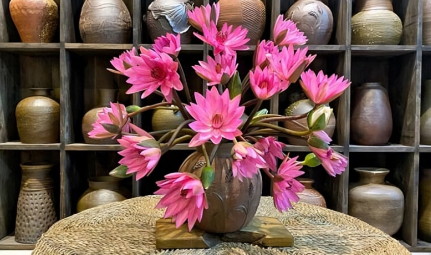 Bình hoa súng dáng phóng khoáng