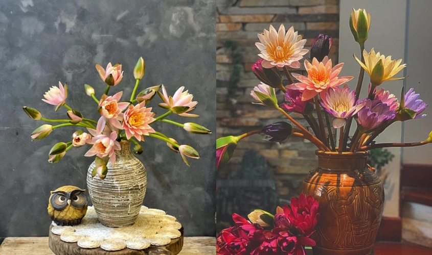 Mẫu cắm hoa súng truyền thống