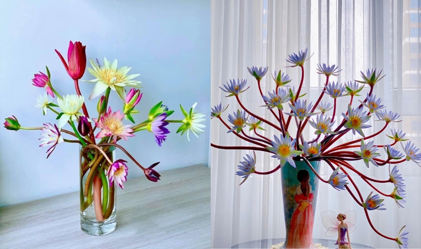 Kỹ thuật cắm hoa súng nghệ thuật