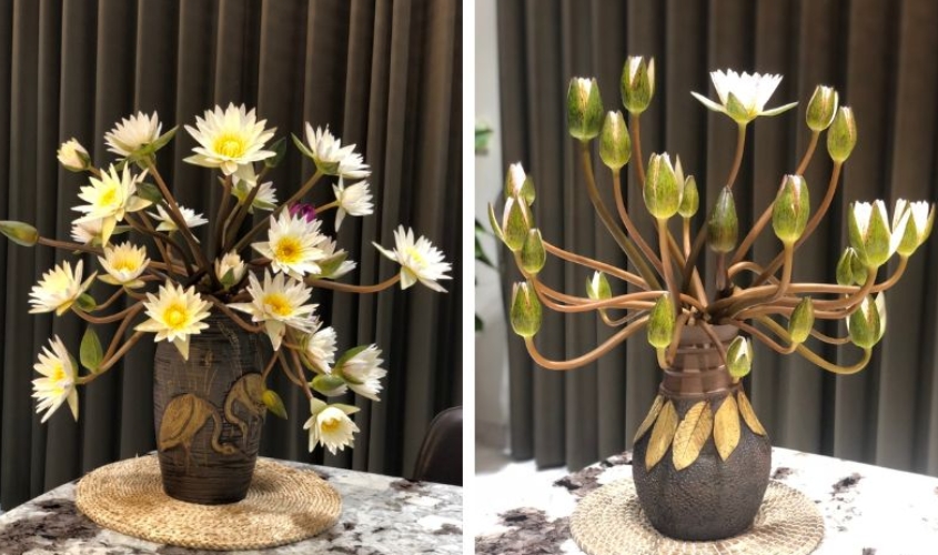 Mẫu cắm hoa súng đẹp, tươi lâu