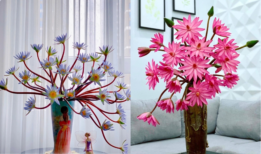 Cách cắm hoa súng với lọ cao