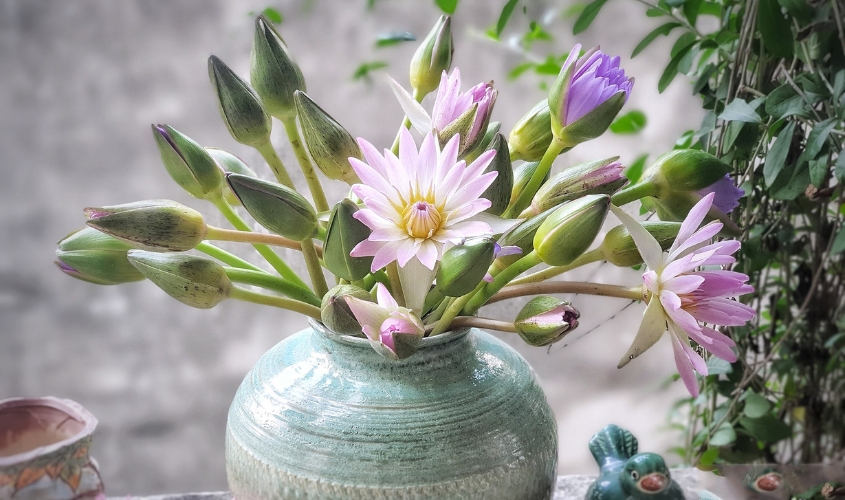 Mẫu cắm hoa súng đơn giản trong bình gốm