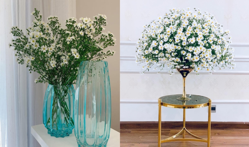 Mẫu cắm hoa thạch thảo trắng trang trí nhà cửa