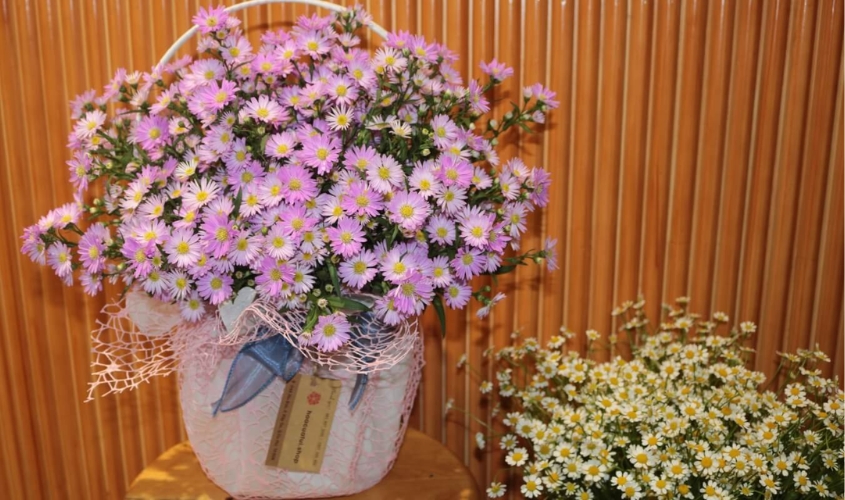 Mẫu hoa thạch thảo tím bình thấp đơn giản, nhẹ nhàng